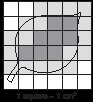 leaf surface area with grid