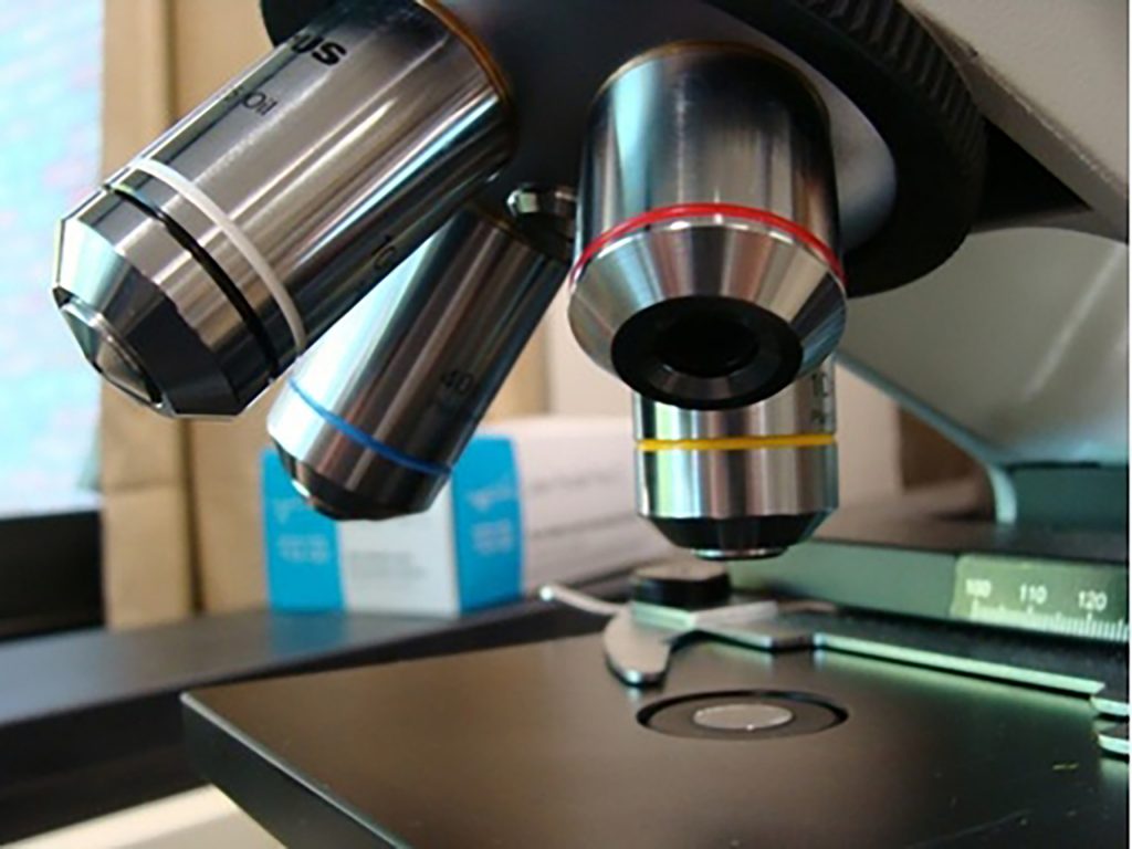 microscope objective lenses