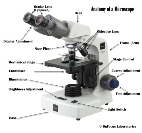 microscope with labeled parts