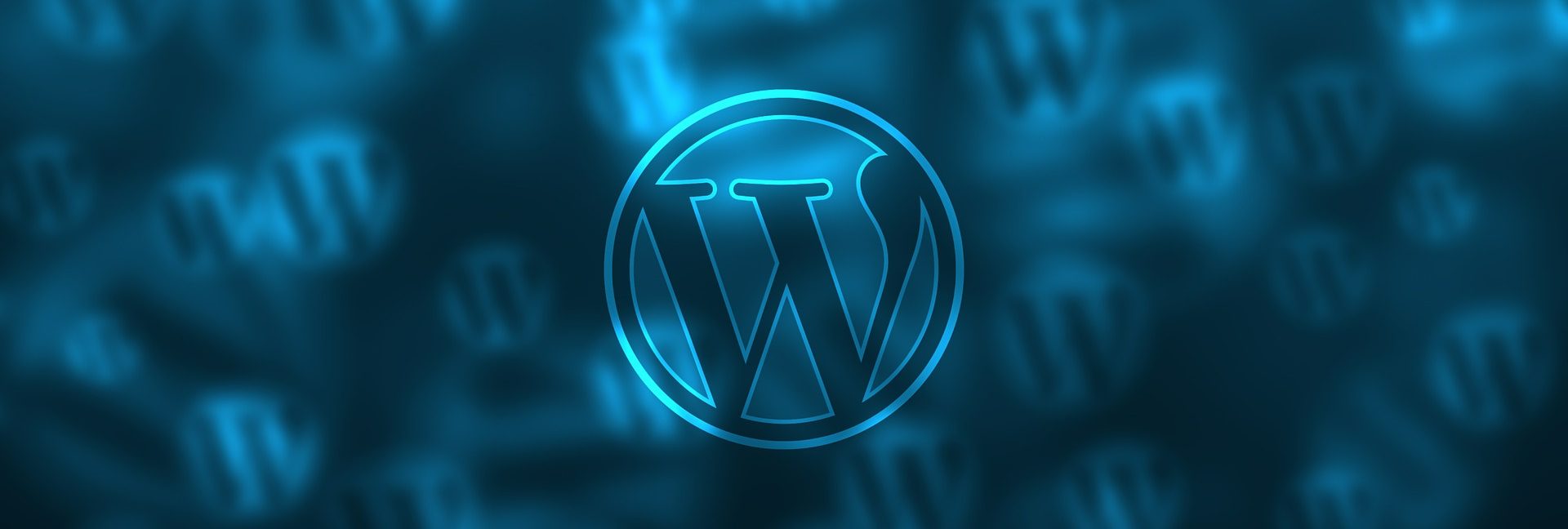 WordPress logo banner
