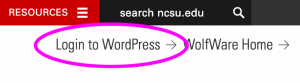 The "Login to WordPress" link is at the top right of the homepage.